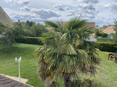 Maison traditionnelle - 124 m² - 6 pièces