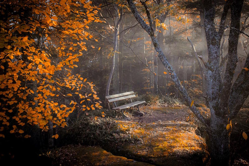 Exposition – les tableaux photos de Laetitia Larquier