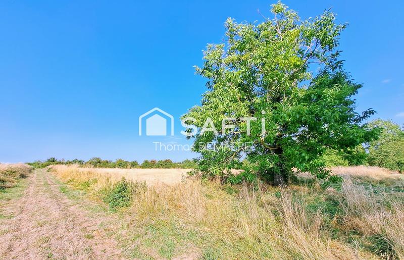 Maison - 214 m² - 8 pièces