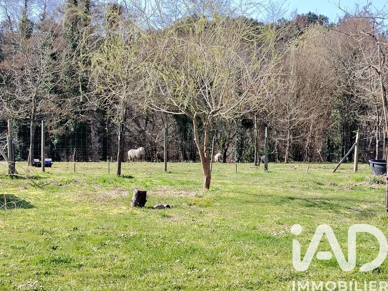 Maison - 125 m² - 4 pièces