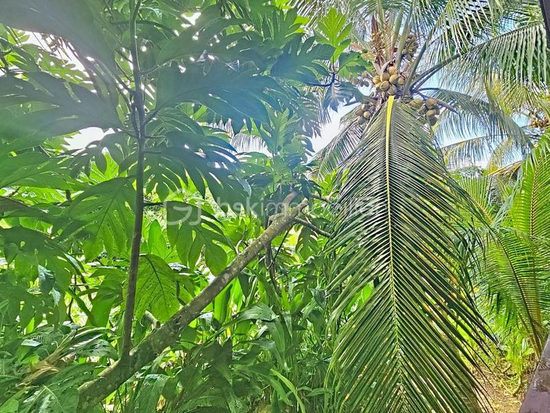 Bungalow - 145 m² - 6 pièces