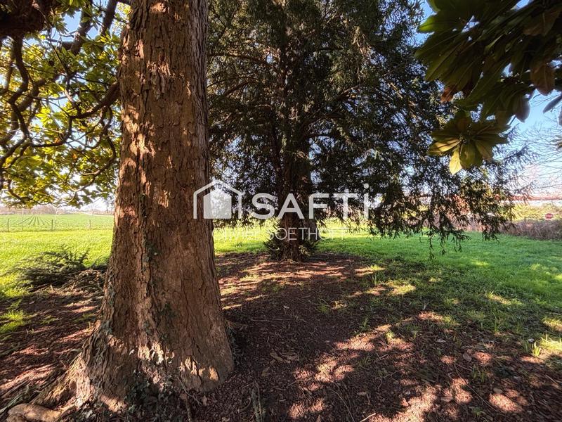 Maison - 320 m² - 7 pièces