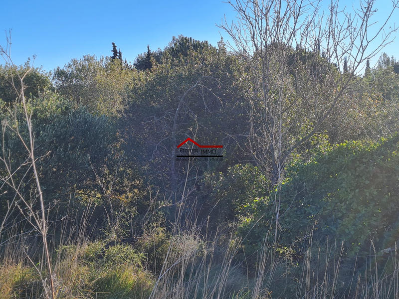 Terrain agricole - 5 730 m²