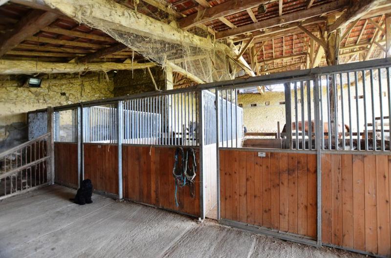 Maison de domaine équestre - 407 m² - 13 pièces