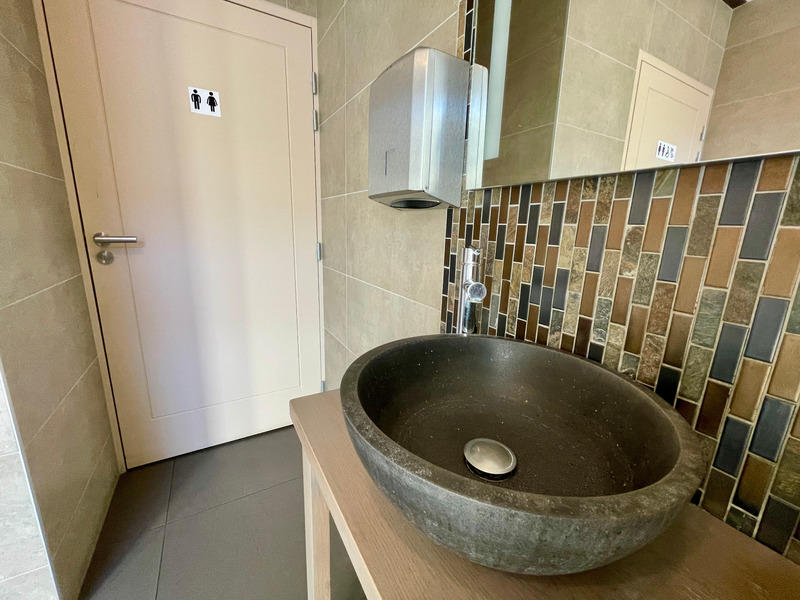 Hôtel particulier - 452 m² - 19 pièces