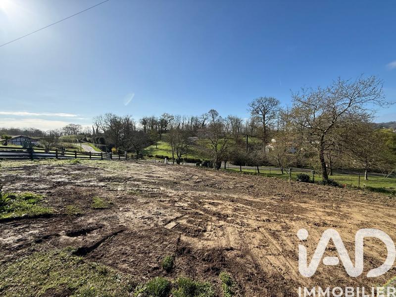 Terrain - 1 343 m²