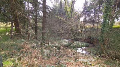 Terrain - 10 109 m²