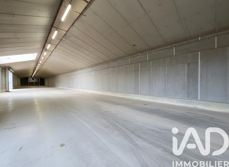 Appartement - 2 280 m² - 5 pièces