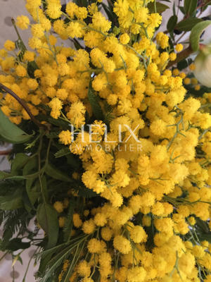 Appartement - 34 m² - 2 pièces