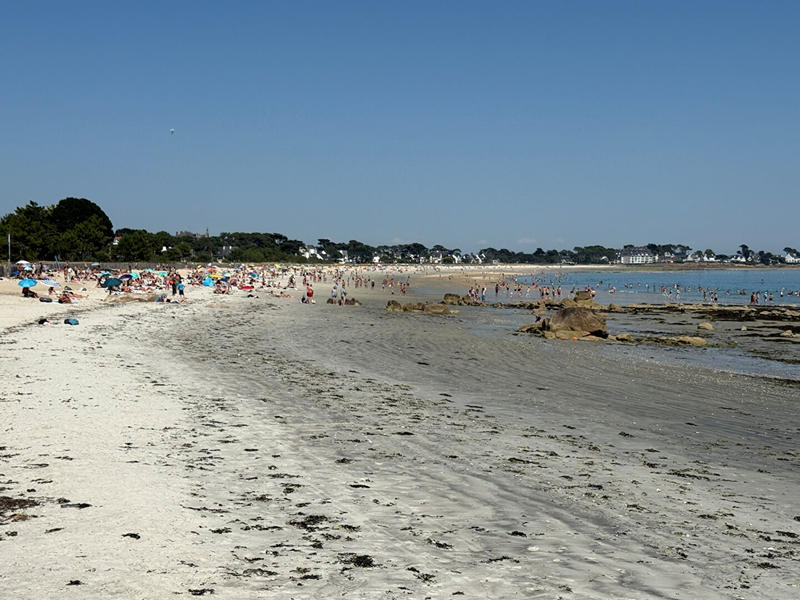 Appartement - 23 m² - 1 pièce