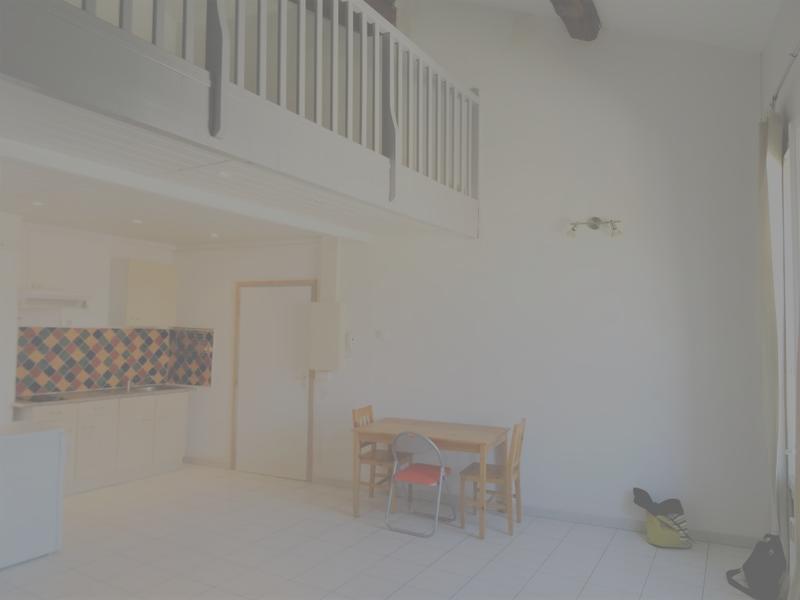 Appartement - 53 m² - 1 pièce