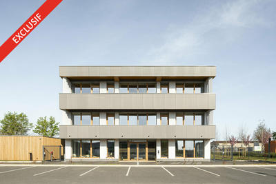 Bureau - 1 800 m²