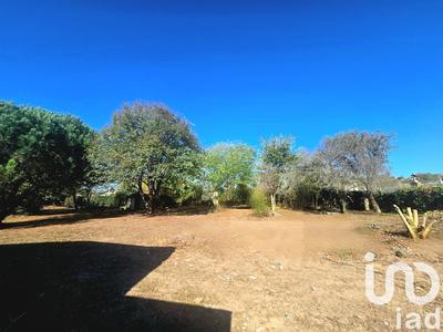 Terrain - 2 259 m²