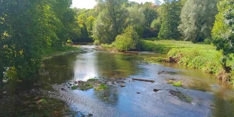 Manoir - 530 m² - 12 pièces