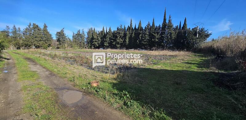 Terrain agricole - 29 154 m²