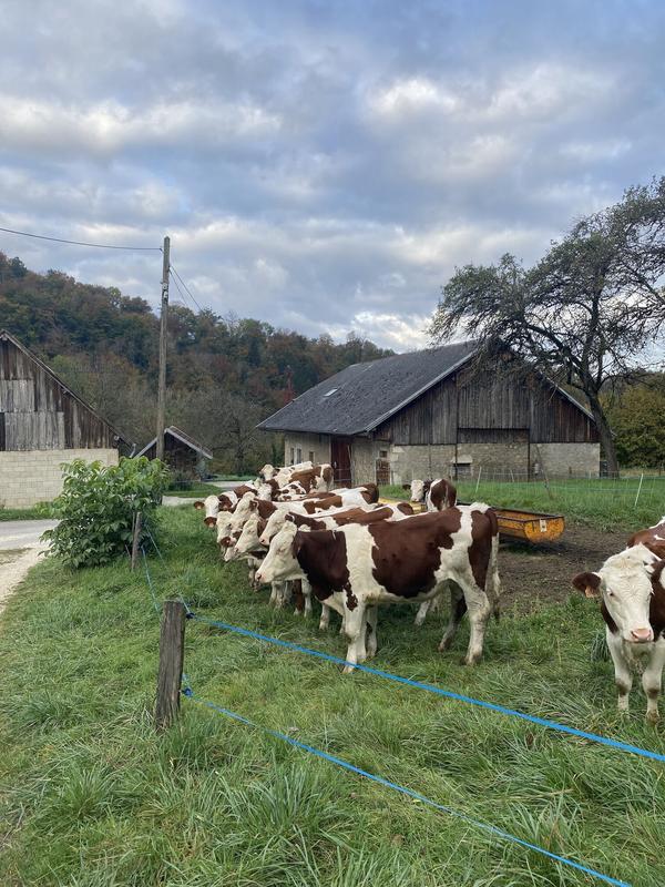 Maison - 103 m² - 5 pièces