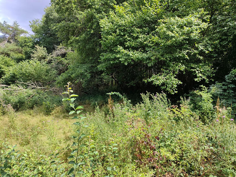 Maison - 43 m² - 2 pièces