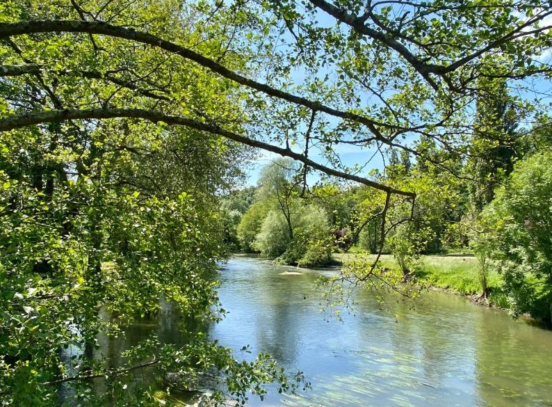 Manoir - 530 m² - 12 pièces