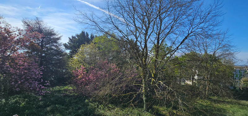 Maison - 280 m² - 7 pièces