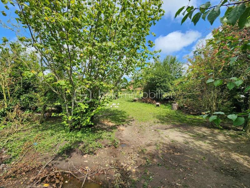 Terrain constructible - 1 026 m²