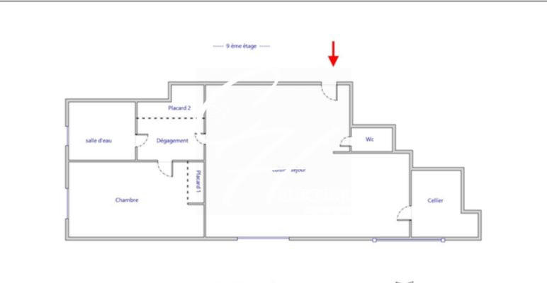 Appartement - 53 m² - 2 pièces