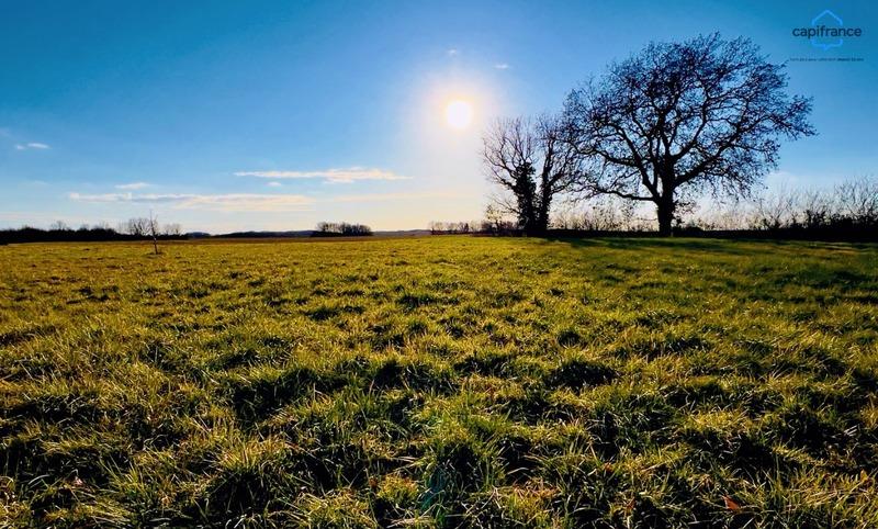 Maison - 250 m² - 6 pièces