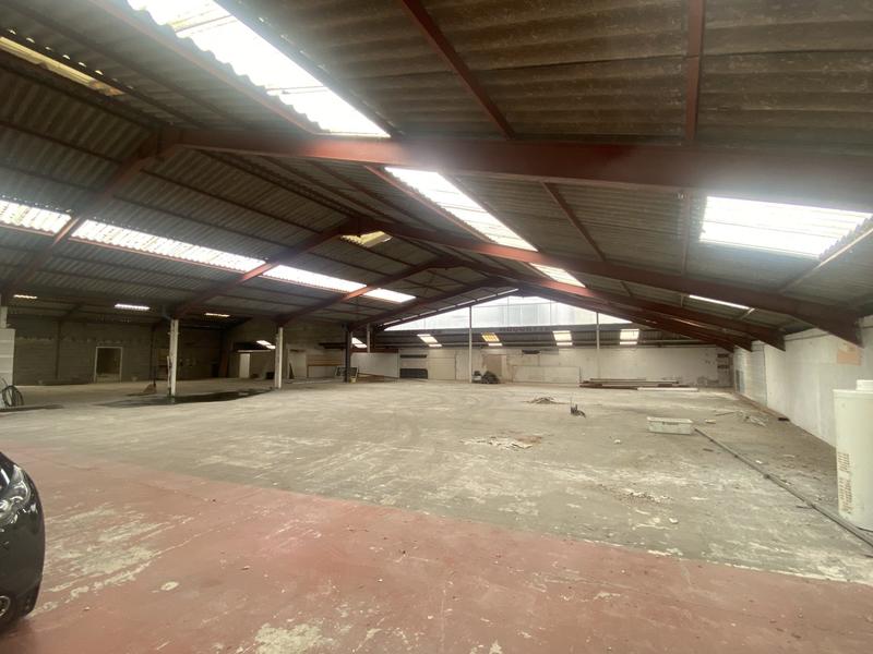 Entrepôt - 1 231 m²