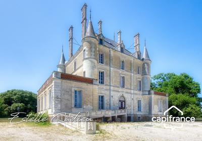 Château - 843 m² - 16 pièces