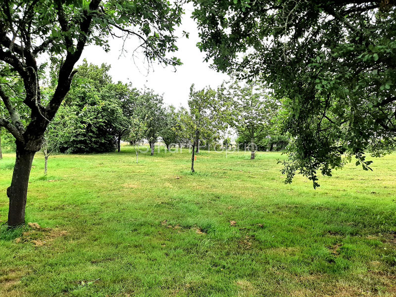 Propriété - 136 m² - 5 pièces