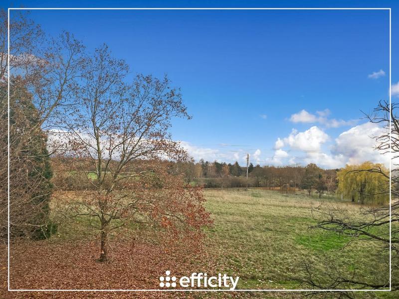 Appartement - 80 m² - 5 pièces