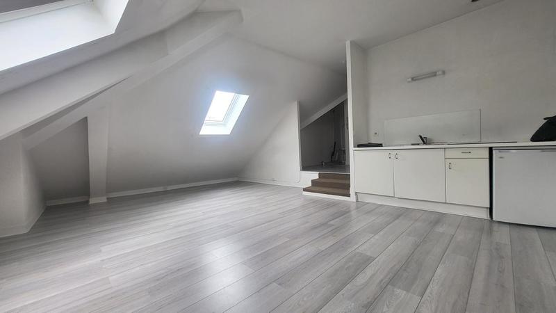 Penthouse - 26 m² - 1 pièce