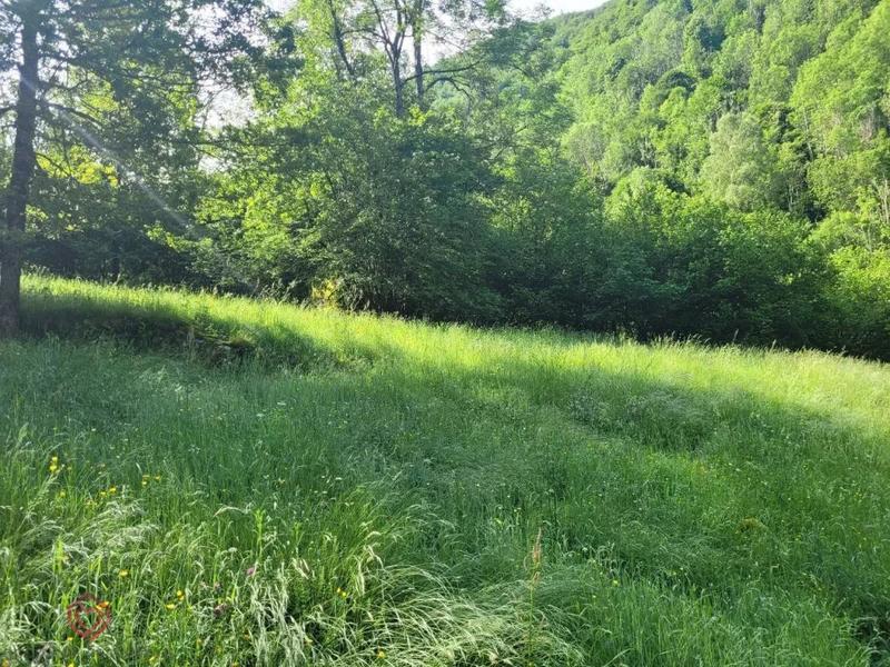 Maison - 30 m² - 2 pièces