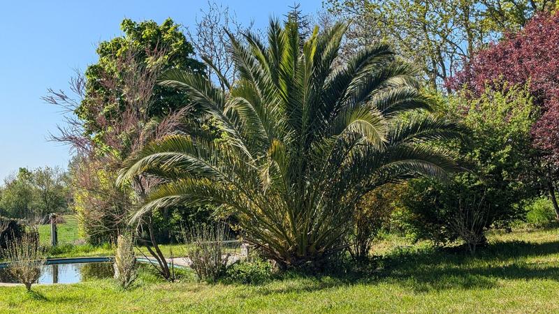 Maison - 175 m² - 6 pièces