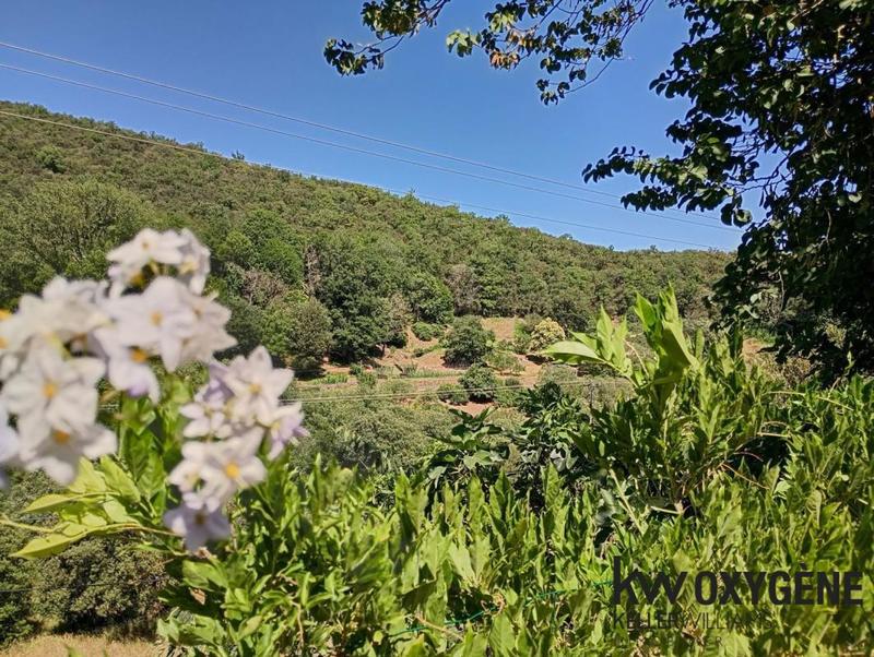 Mas - 134 m² - 5 pièces