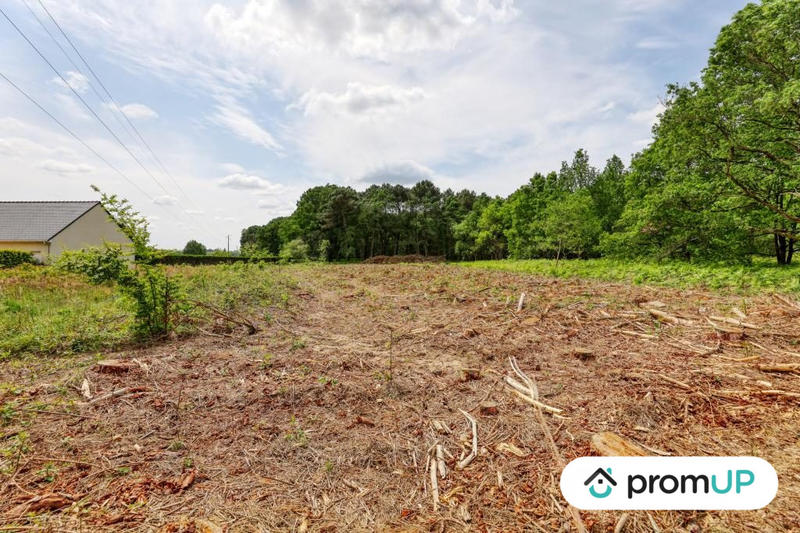 Terrain de loisirs - 4 000 m²