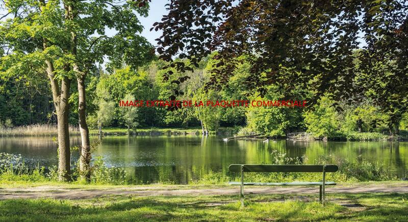 Appartement - 75 m² - 4 pièces