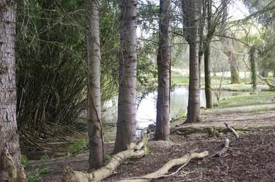 Maison - 245 m² - 8 pièces