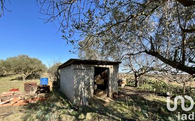 Terrain agricole - 7 264 m²