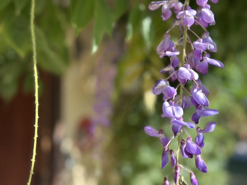 Maison - 200 m² - 6 pièces