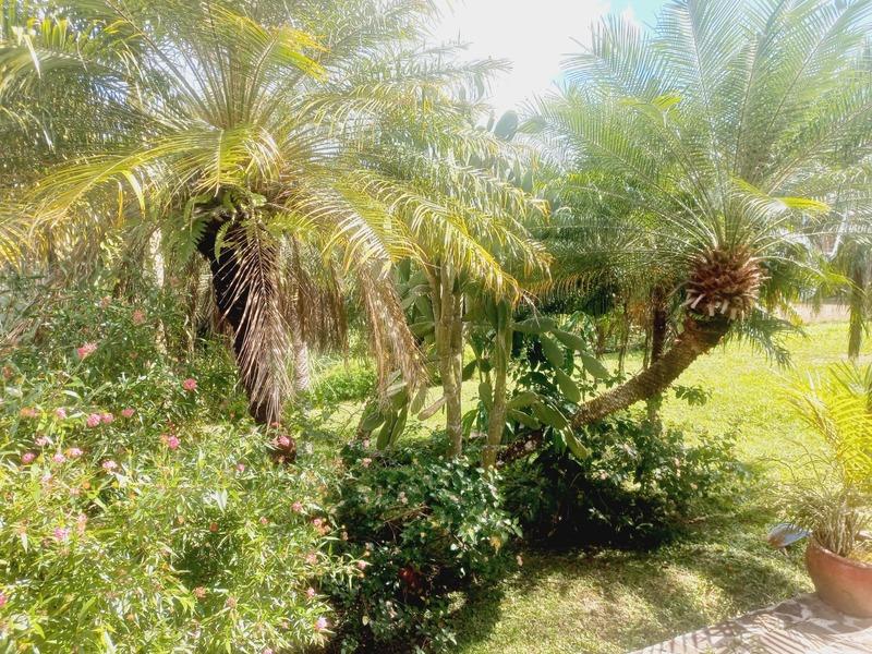 Maison - 144 m² - 4 pièces