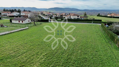 Terrain - 3 989 m²
