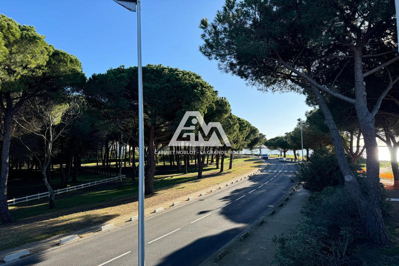 Appartement - 28 m² - 1 pièce