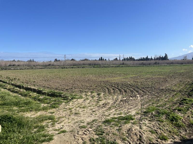 Terrain agricole - 65 685 m²