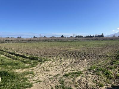 Terrain agricole - 65 685 m²