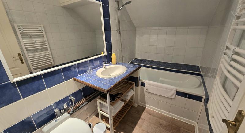 Maison de domaine - 263 m² - 9 pièces