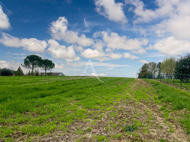 Terrain - 11 886 m²