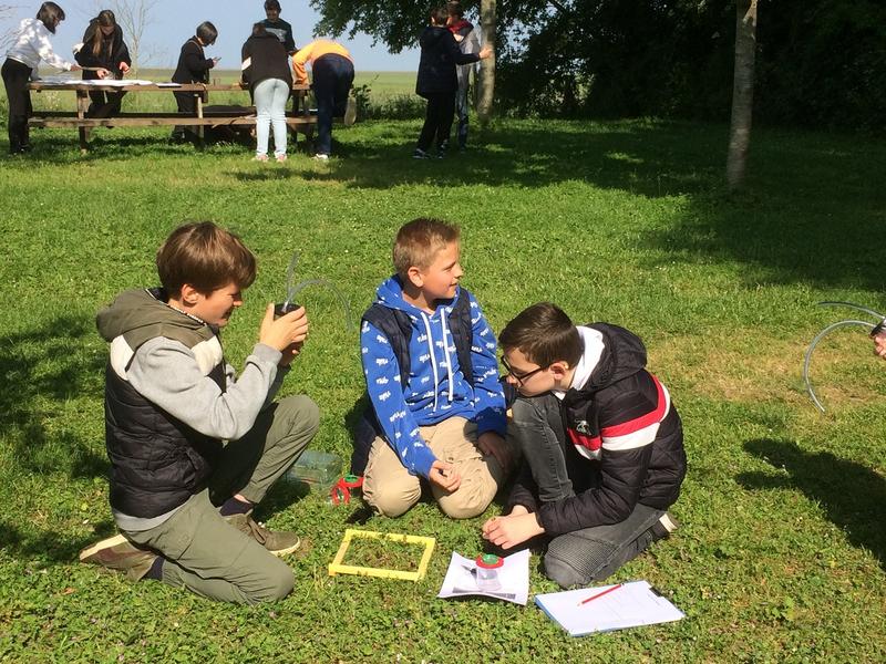 Sortie découverte des insectes : des bêtes pas si bêtes !