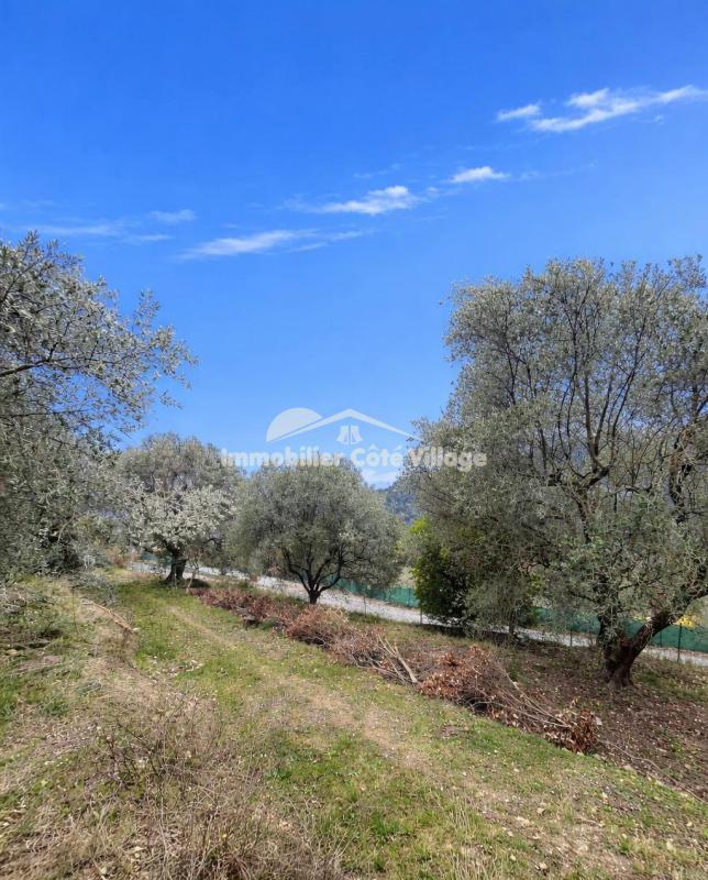 Terrain - 5 753 m²