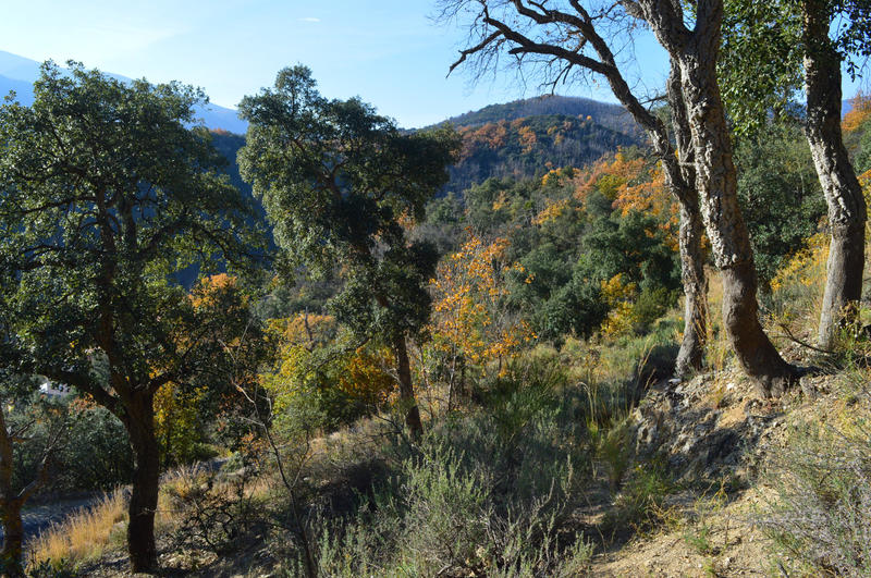 Terrain - 18 305 m²