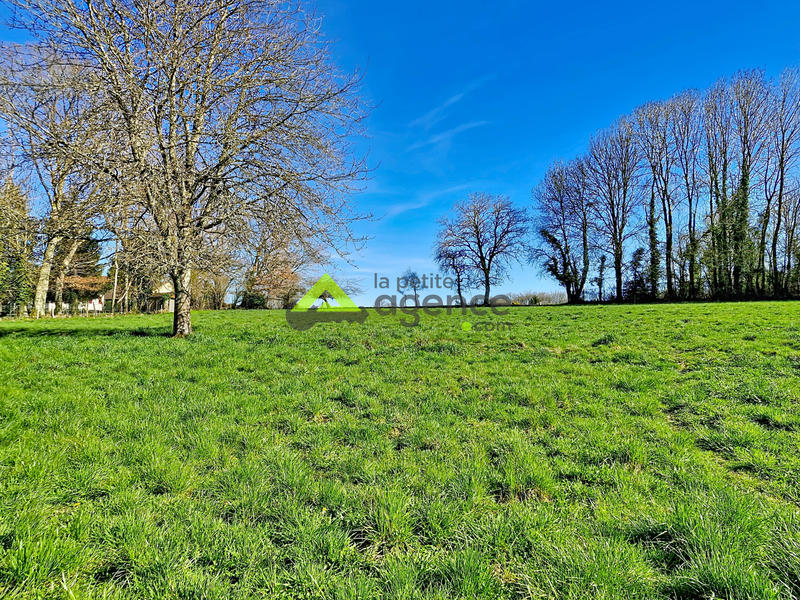 Terrain - 1 500 m²